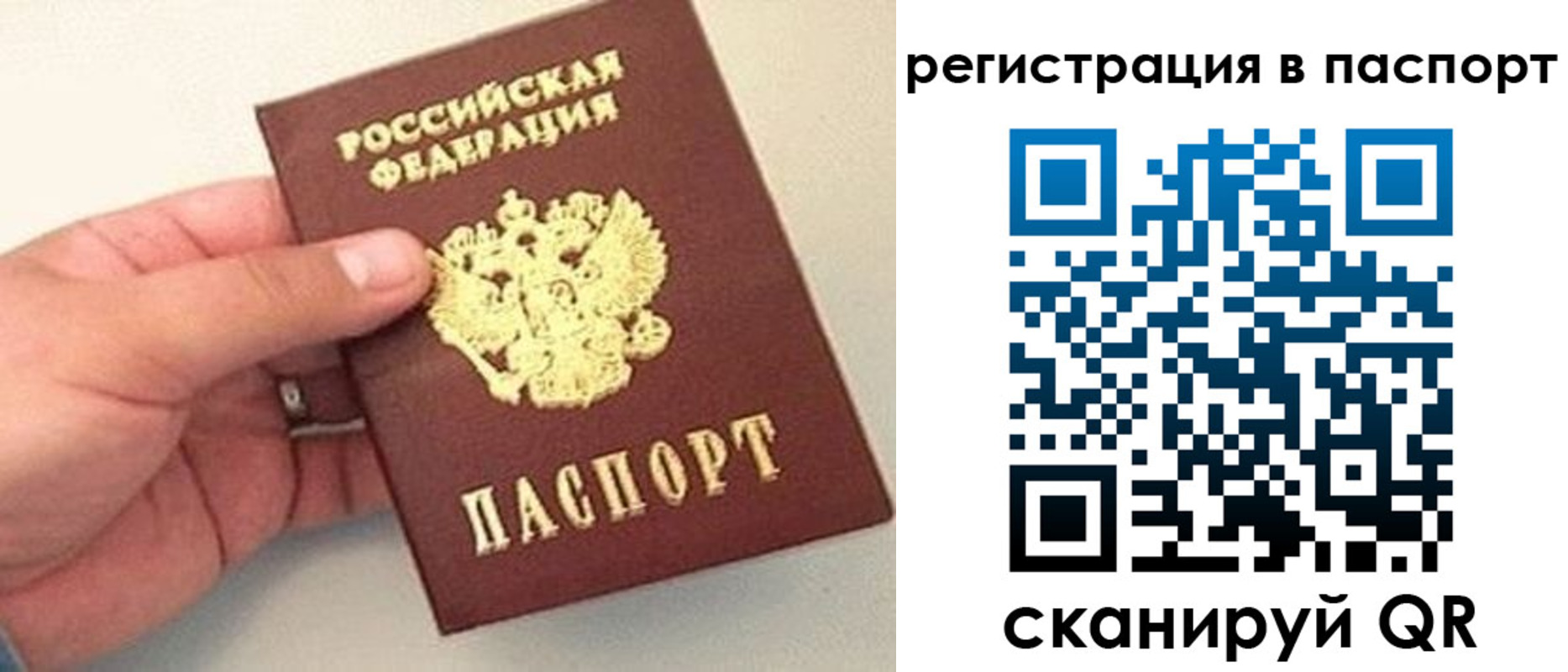 прописка законно в Березниках